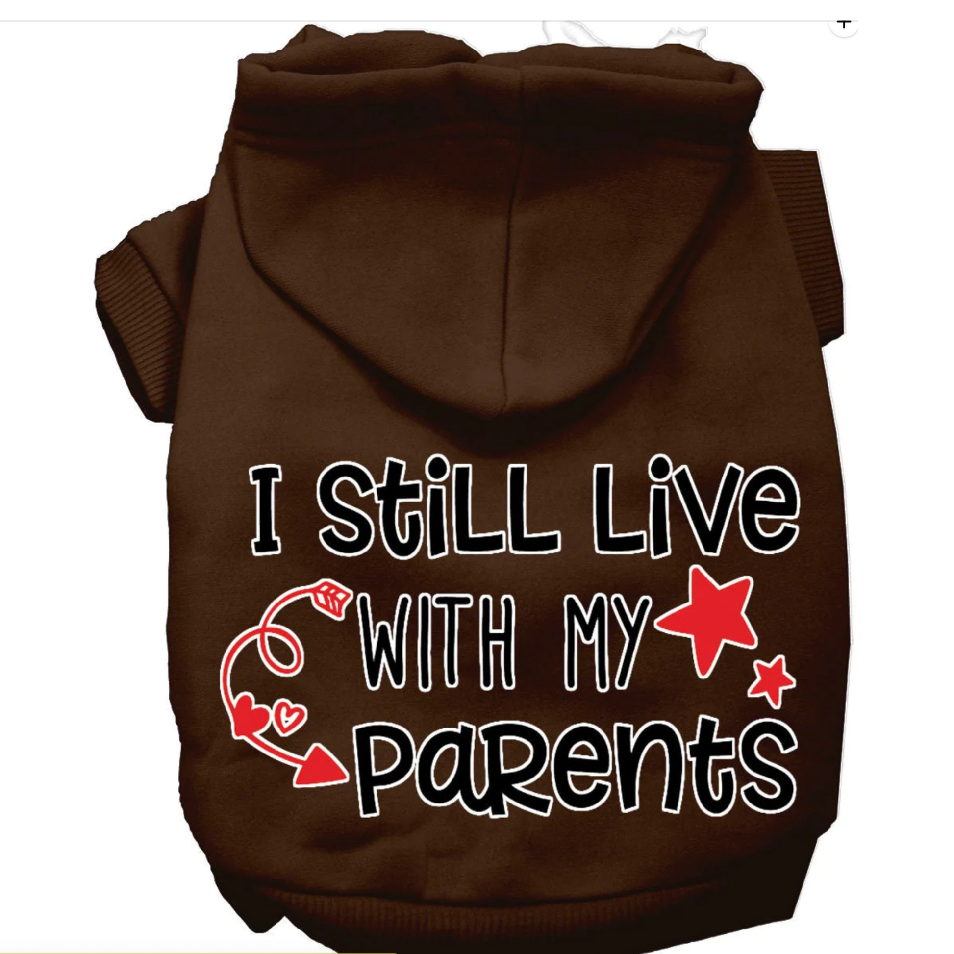 I Still Live With Parents Hoodie Mirage