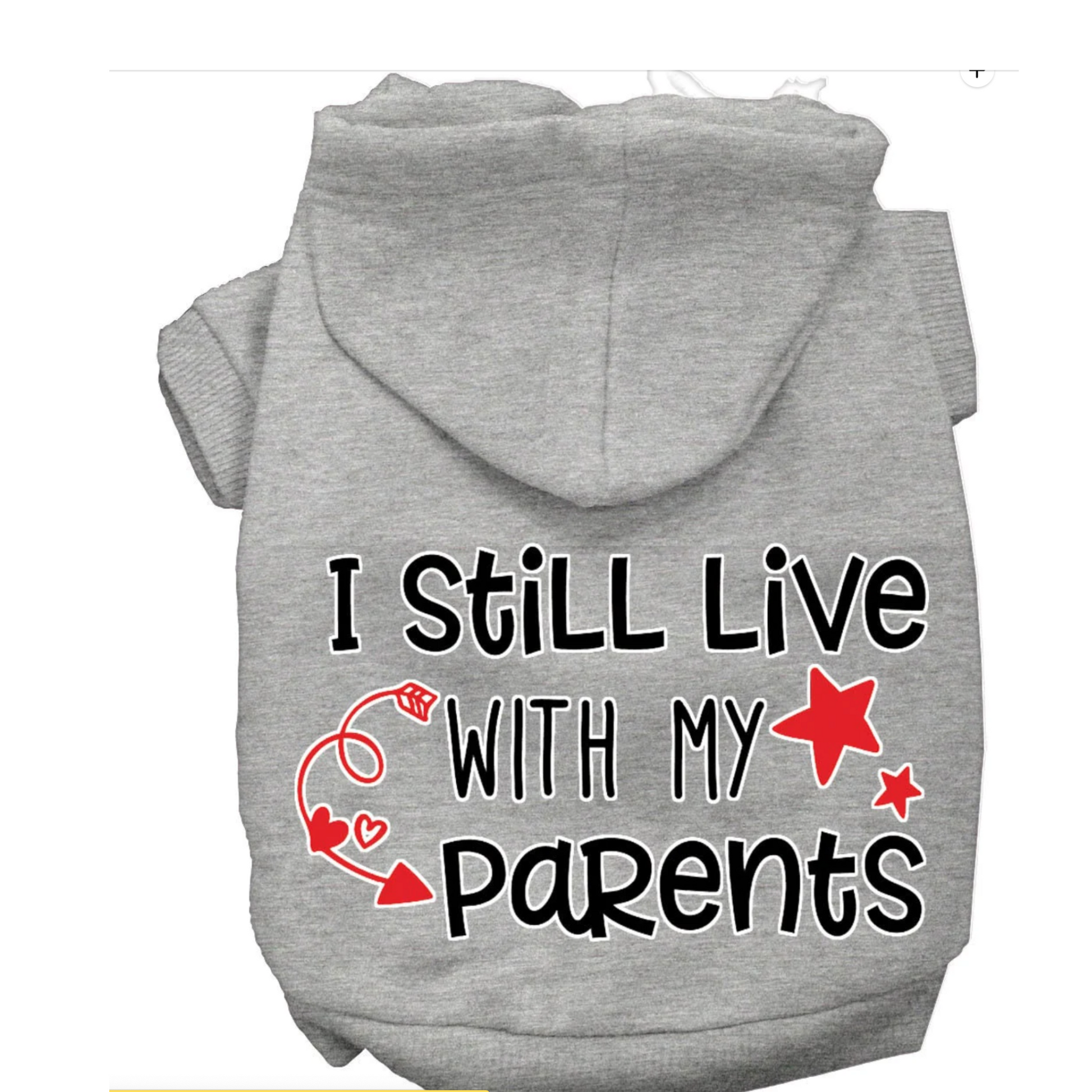 I Still Live With Parents Hoodie Mirage
