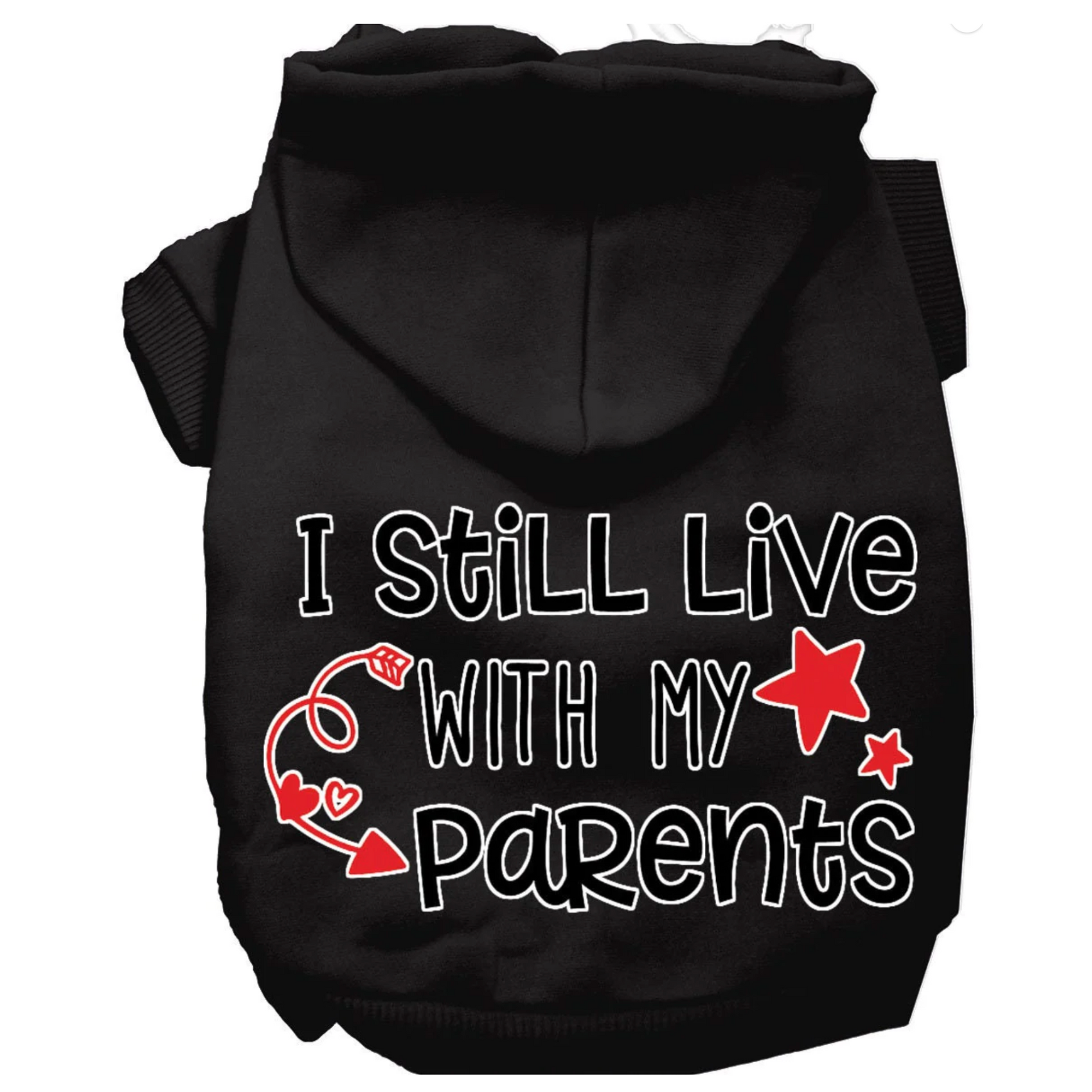 I Still Live With Parents Hoodie Mirage