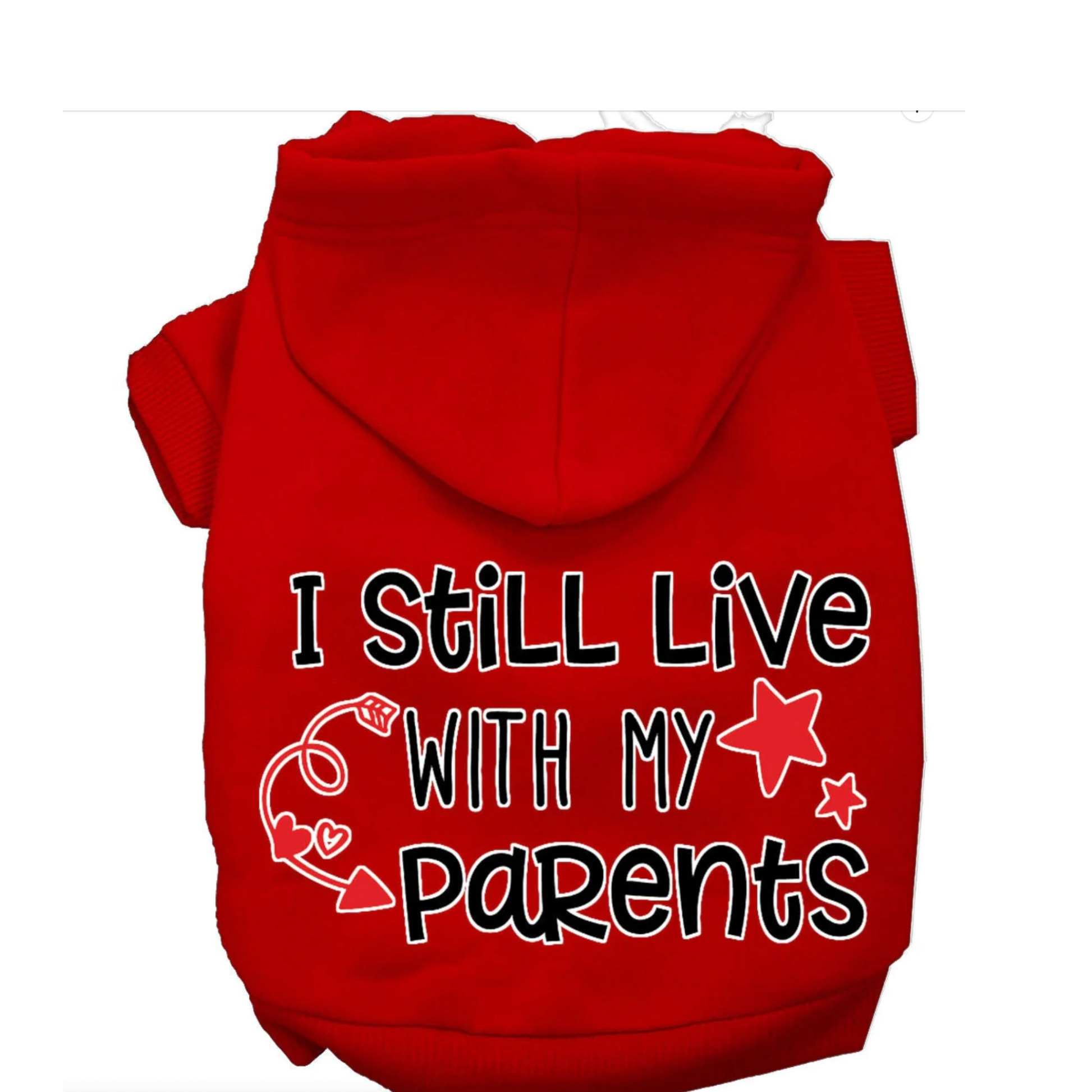 I Still Live With Parents Hoodie Mirage