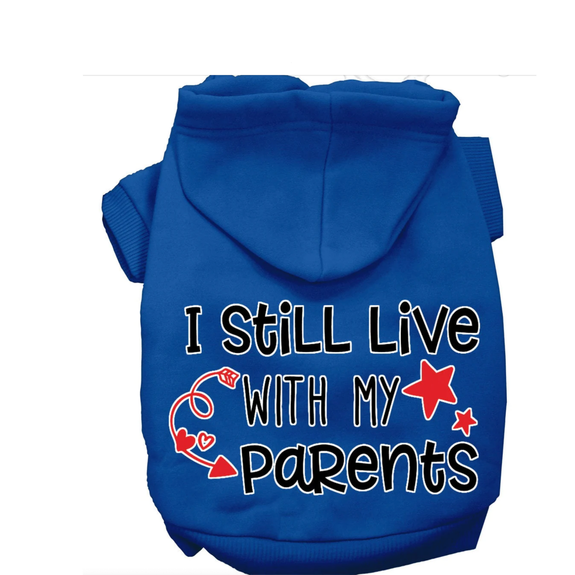 I Still Live With Parents Hoodie Mirage