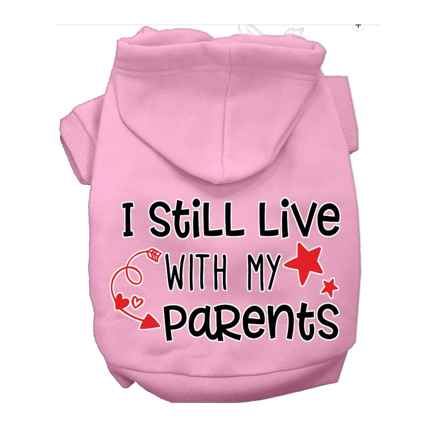 I Still Live With Parents Hoodie Mirage