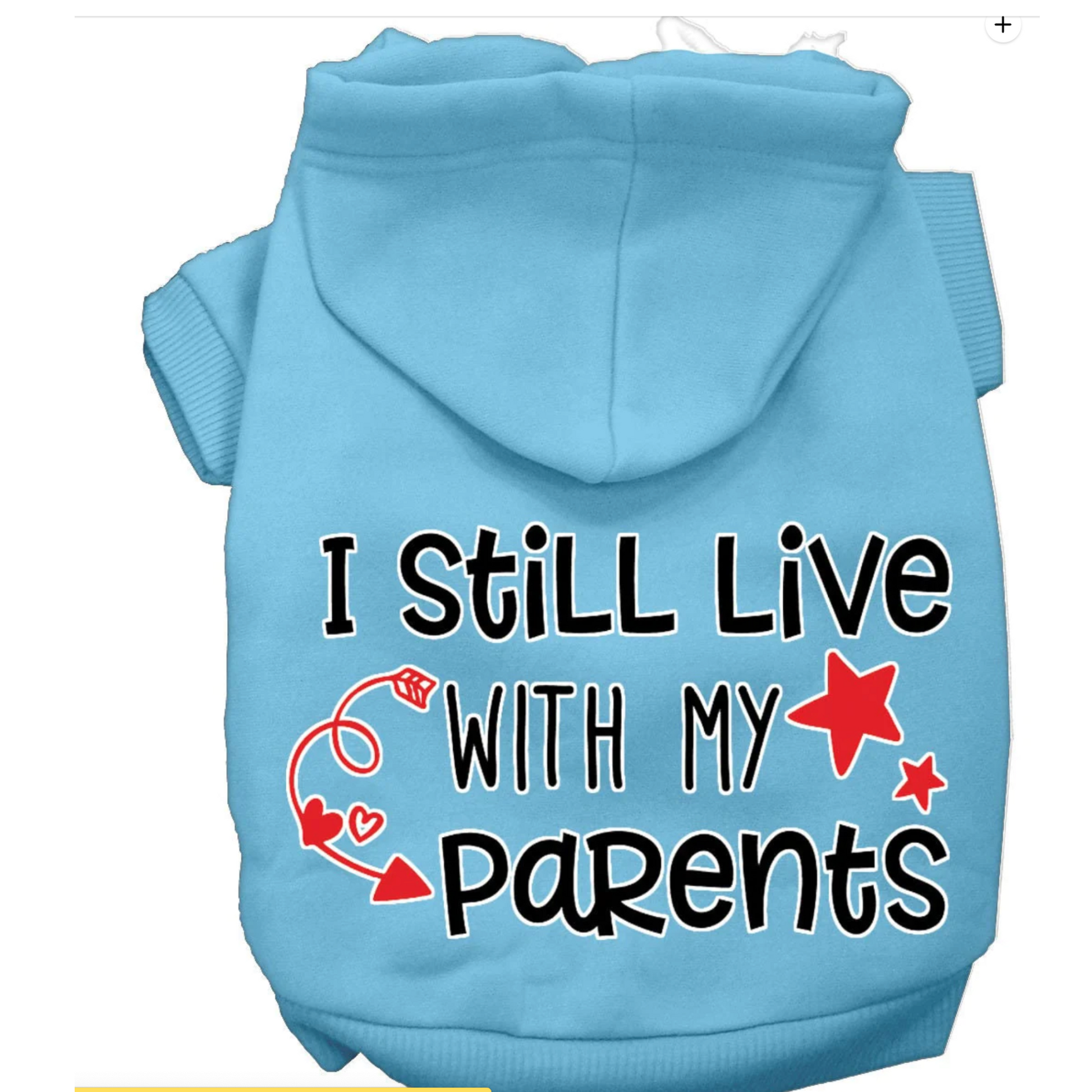 I Still Live With Parents Hoodie Mirage